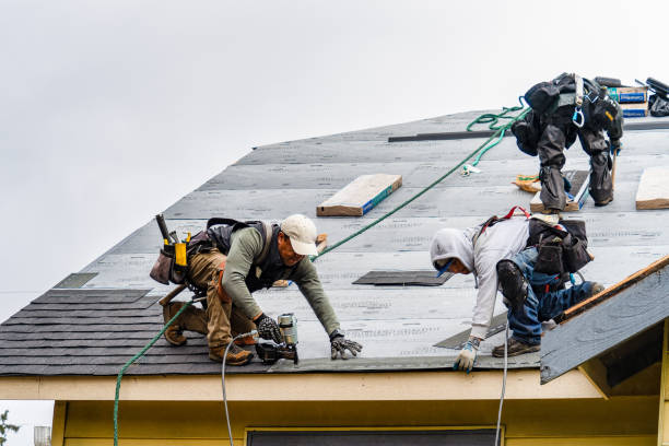 Professional Roofing technician working in Leonard, MI